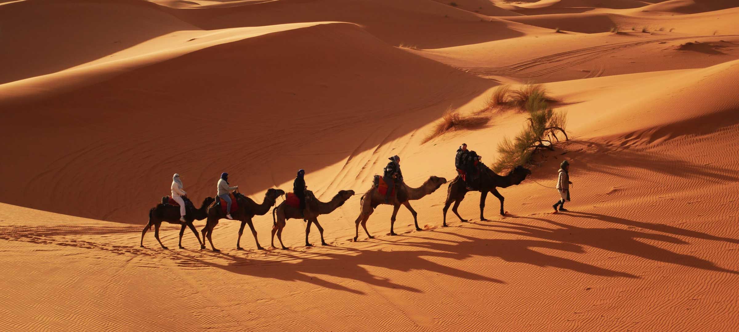 6-Day Morocco Desert Tour from Casablanca — Hero