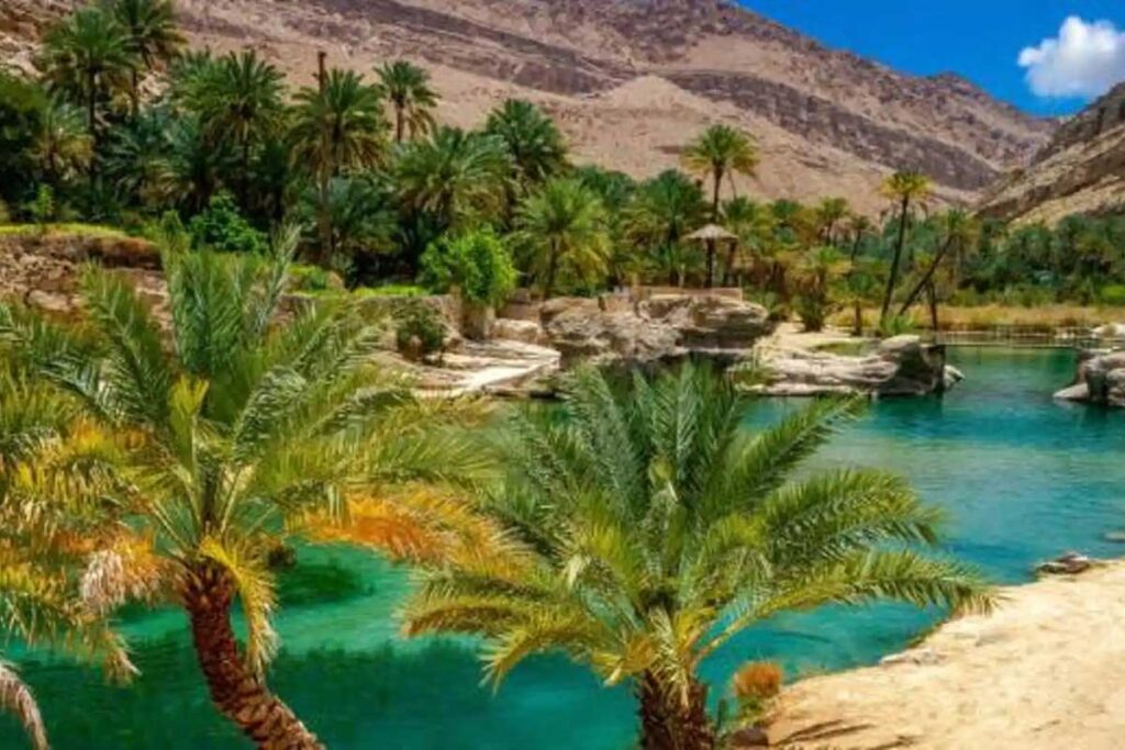 Private 2-Day Marrakech to Ouarzazate & Fint Oasis Tour