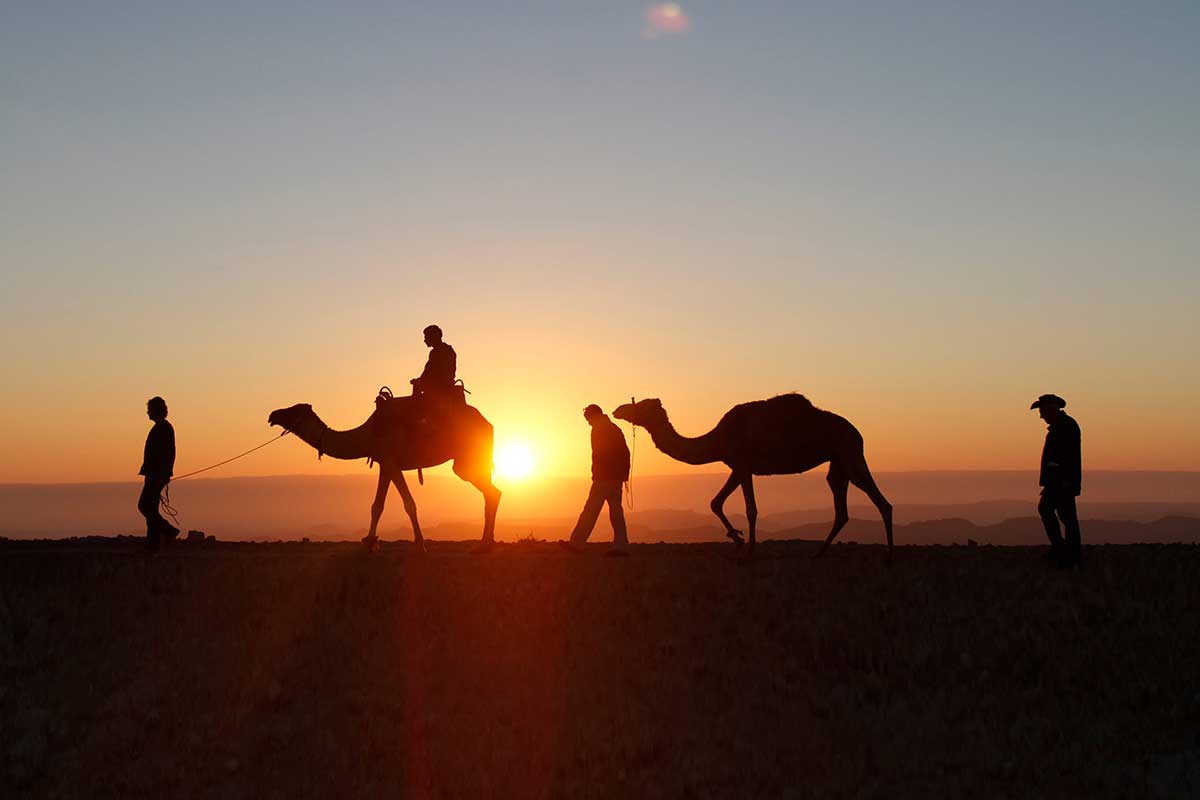 Sunset Camel Ride in Agafay Desert